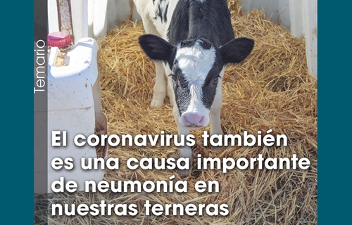 El coronavirus tambin es una causa importante de neumona en nuestras...
