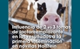 Influencia de 2 vs 3 tomas de lactoreemplazante en los resultados a la primera inseminacin en novillas Holstein