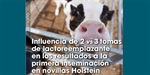 Influencia de 2 vs 3 tomas de lactoreemplazante en los resultados a la primera inseminacin en novillas Holstein