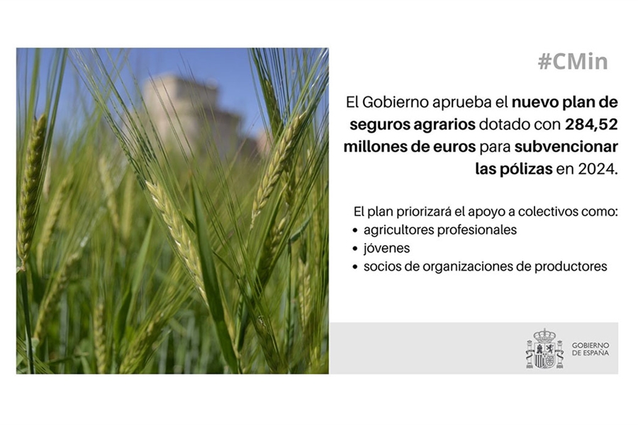 Aprobado el nuevo plan de seguros agrarios, dotado con 284,52 millones...