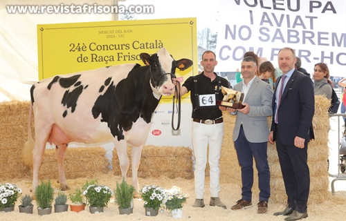 Marquet Paradis Unstopabull, Vaca Gran Campeona de Catalua 2024