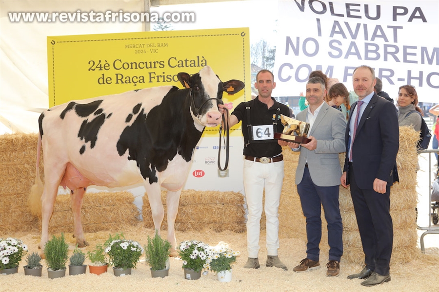 Marquet Paradis Unstopabull, Vaca Gran Campeona de Catalua 2024