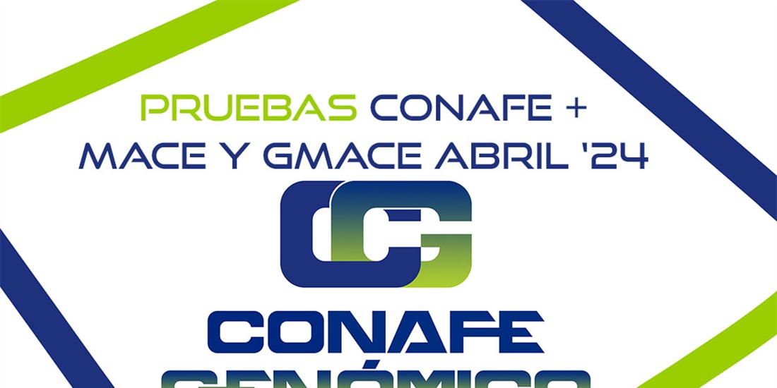 Actualizacin de pruebas genmicas de Machos: CONAFE + MACE y GMACE...
