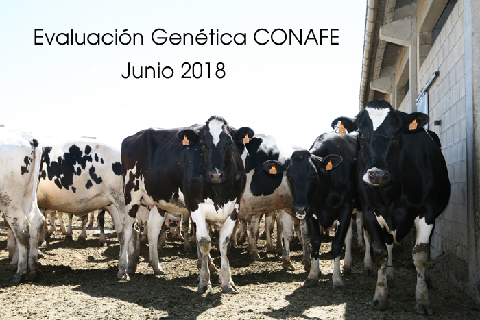 Ya estn publicadas por CONAFE las valoraciones de hembras y toros genotipados y los listados de ganaderas correspondientes a la evaluacin de junio de 2018. 