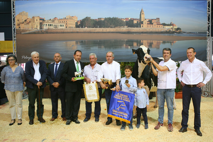Badiola Airlift Kenda, Vaca Gran Campeona en el Concurso Regional de Asturias de la Raza Frisona