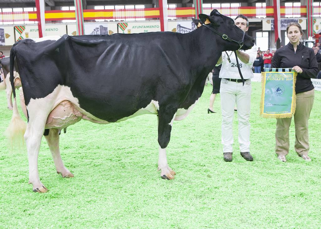 ALGENDAR  GOLDWYN  JARA