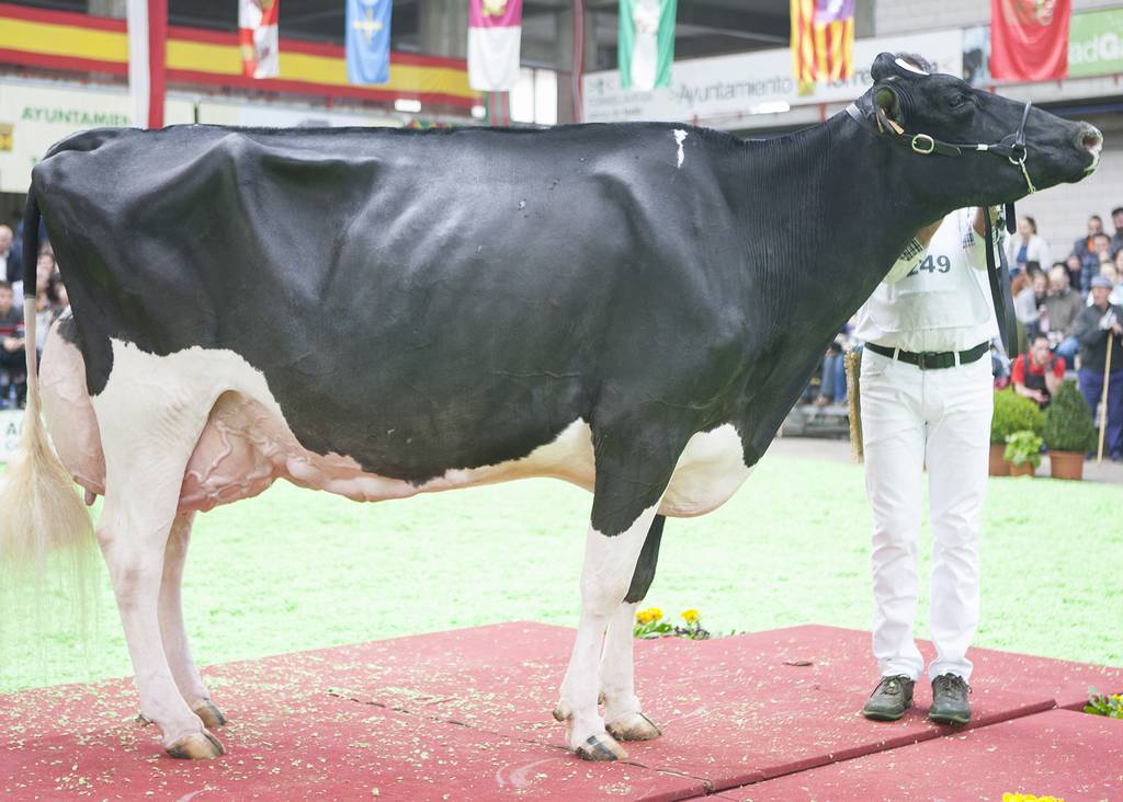 LLERA GOLDWYN GALA ET