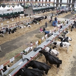 Mercado Nacional de Ganados de Torrelavega