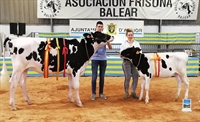 Torre Doorman Dorotea, Novilla Gran Campeona, y Trencadeta Cinderdoor Montana, Ternera Campeona