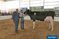 H. Tobías Doorman Irache (Huerta Los Tobías), Vaca Junior Campeona y Vaca Mención de Honor
