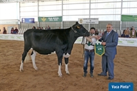 Vistahermosa Doorman Mila ET (Vistahermosa), Novilla Gran Campeona de Andaluca 2019 