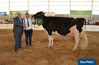 Copada Fever 5 (Loma la Copada), Vaca Gran Campeona de Andaluca 2019