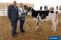 Valbuena Unix Rociera 0615 (Dehesa de Valbuena), Ternera Campeona de Andaluca 2019 