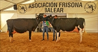 Gran Campeona (der) y Gran Campeona Reserva (izq) de Mallorca 2019