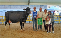 Binillubet Talent Fatima, Vaca Gran Campeona Reserva de Mallorca 2019