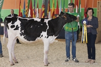 Badiola Emilio Megaluna (Badiola Holstein), Ternera Campeona ASCOL