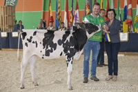 Piensa Lambada Tuerka (La Pienda), Ternera Subcampeona ASCOL