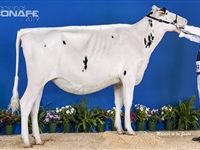 Ganadora Seccin 3: Cudaa Valana Solomon