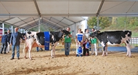 Jana, Gran Campeona de Vacas (izq), y Alicia, Gran Campeona de Novillas (der), con sus propietarios Jon Gutirrez e Irene Arnaiz, de la explotacin Casa Nueva de Karrantza