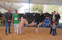 Alicia, Gran Campeona de Novillas del concurso, junto a sus propietarios Jon Gutirrez e Irene Arnaiz y familia, y el juez Quim Sabri