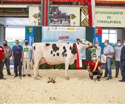 Trespandio Alicia Link Up (Sarabia Isla), Vaca Gran Campeona de Cantabria 2021, Vaca Intermedia Campeona y Mejor Ubre