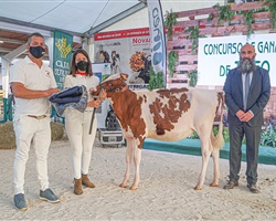 Manolero Jordy Red Lucy Red, de Ganadera Manolero SC, Gran Campeona de Terneras y Novillas