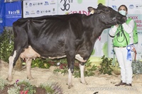 Manteiga Alexander Evy (Ganadera Manteiga) - Reserva Gran Campeona Feiradeza 21