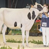 Casa-Nova Vanana Ceo 1327 G, Campeona Seccin 5 - Ganadera Carro, A Corua