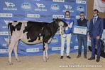 Casa-Nova Shania Mooving 1481 (Carro), Ternera Campeona