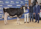 Asuncin King Doc Elsa 2 (Finca La Asuncin), Ternera Subcampeona