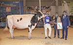Rey 814 Beemer Yuri (Rey de Miñotelo), Vaca Gran Campeona de Galicia 2022