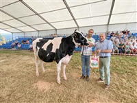 Gran Campeona de Novillas