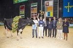 Vaca Gran Campeona Nacional 2022