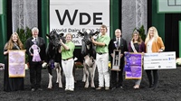 Grand Champion International Junior Holstein