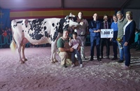 Parlero Wilson Helectra, Premio Especial Vaca Gran Campeona