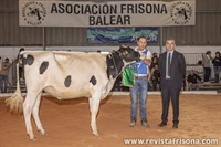 Binillubet Apply Mar (Binillobet), Novilla Campeona