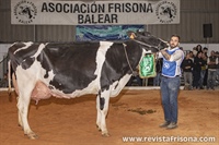 	Binisegui Byway Kala (Binigafull), Vaca Gran Campeona y Vaca Adulta Campeona Menorca 2023