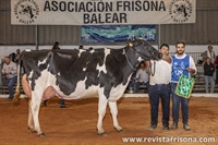Binigafull High Octane Mariana (Binigafull), Vaca Gran Campeona Reserva, Vaca Intermedia Campeona y Mejor ubre de Menorca 2023