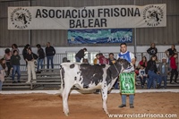 Bell Lloch Lambda Estefana (Son Bell Lloch), Novilla Gran Campeona y Ternera Campeona