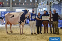 Rey 814 Beemer Yuri (Rey de Miotelo), Vaca Gran Campeona de Moexmu 2023