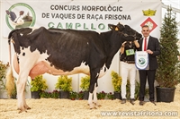 Pou Tania Solomon (Can Pou), Vaca Adulta Subcampeona