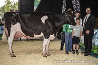 Vaca Gran Campeona de Asturias 2023 y Vaca Intermedia Campeona