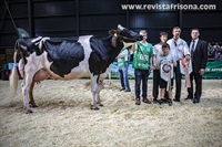  Vaca Intermedia Subcampeona de Asturias 2023