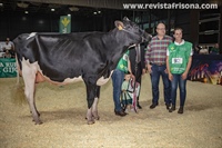 Vaca Joven Campeona de Asturias 2023