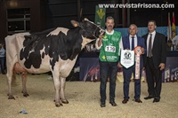 Vaca Adulta Subcampeona de Asturias 2023