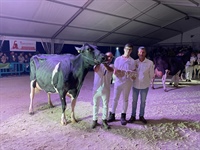 Vaca Gran Campeona de Tineo 2023 y Mejor Ubre del concurso