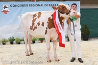 Gran Campeona de Terneras y Novillas de Cantabria 2023