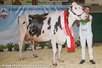Vaca Gran Campeona de Cantabria 2023