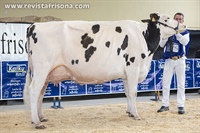 Ardeo King Roya 1619, Vaca Gran Campeona Reserva de Euskal Herria 2023