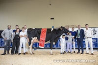 Foto de grupo con la Vaca Gran Campeona de Euskal Herria 2023